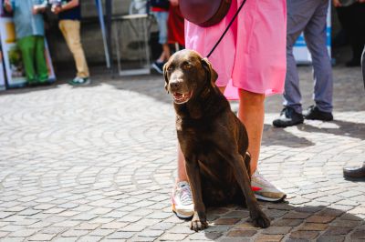0625_Bocholt_-81.jpg